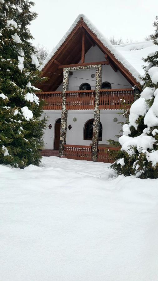 Vila Luca'S Cartisoara Exterior photo